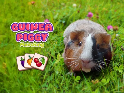 Guinea Piggy Matching